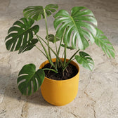Elho Jazz Bernsteingelb – Ø19cm