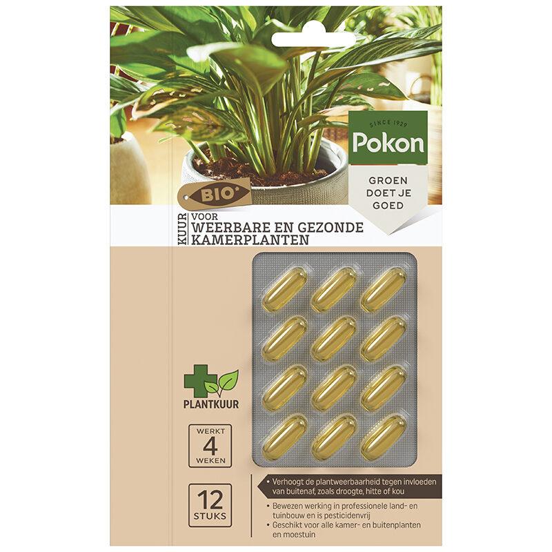Bio Cure für widerstandsfähige und gesunde Zimmerpflanzen Kapseln - 12 Stück Detail