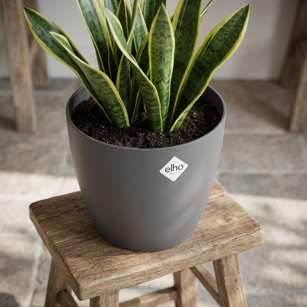Elho Brussels Anthrazit – Ø20cm