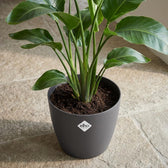 Elho Brussels Anthrazit – Ø18cm