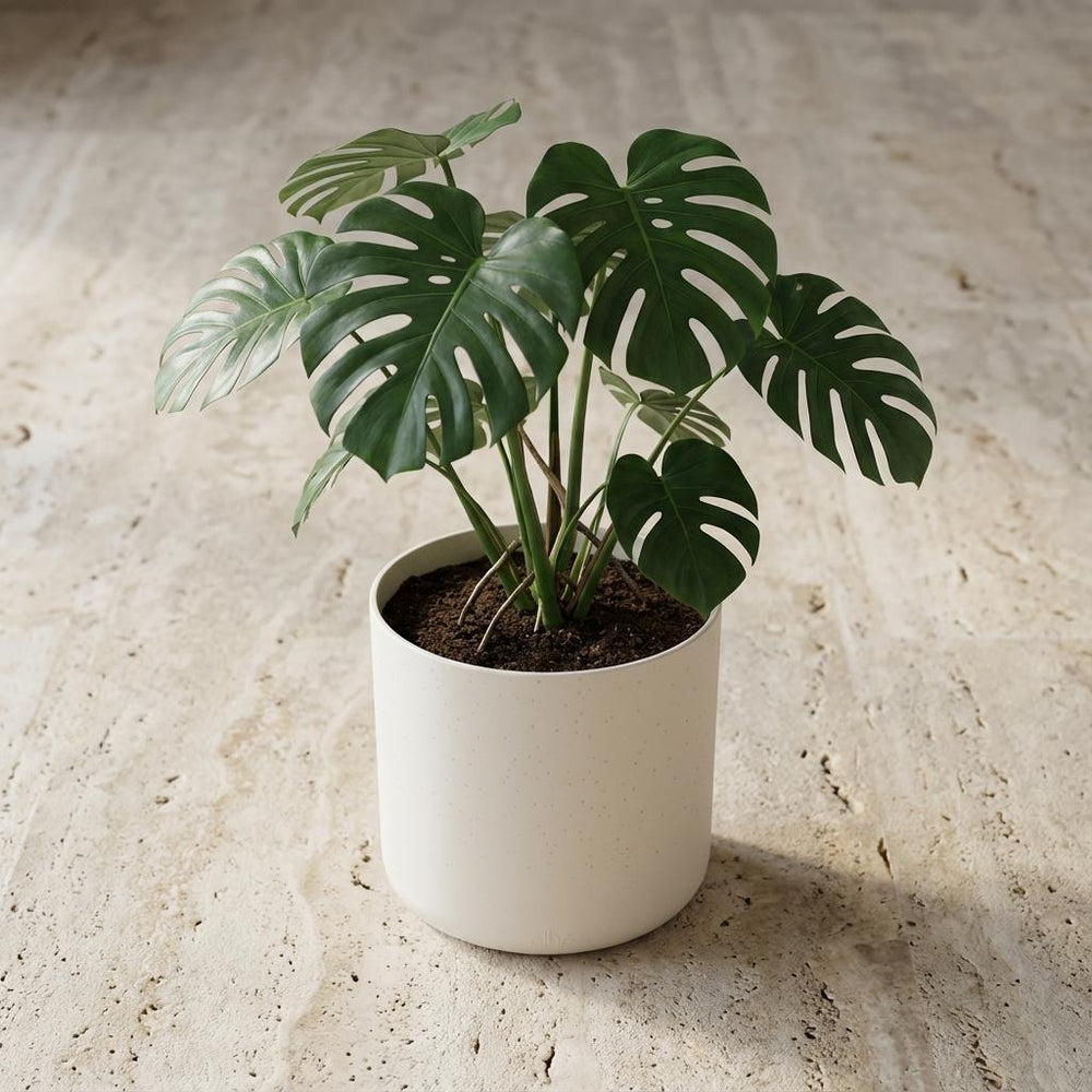 Elho B.for Soft Weiß – Ø16cm