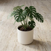 Elho B.for Soft Weiß – Ø16cm