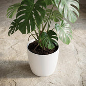 Elho Brussels Weiß – Ø25cm
