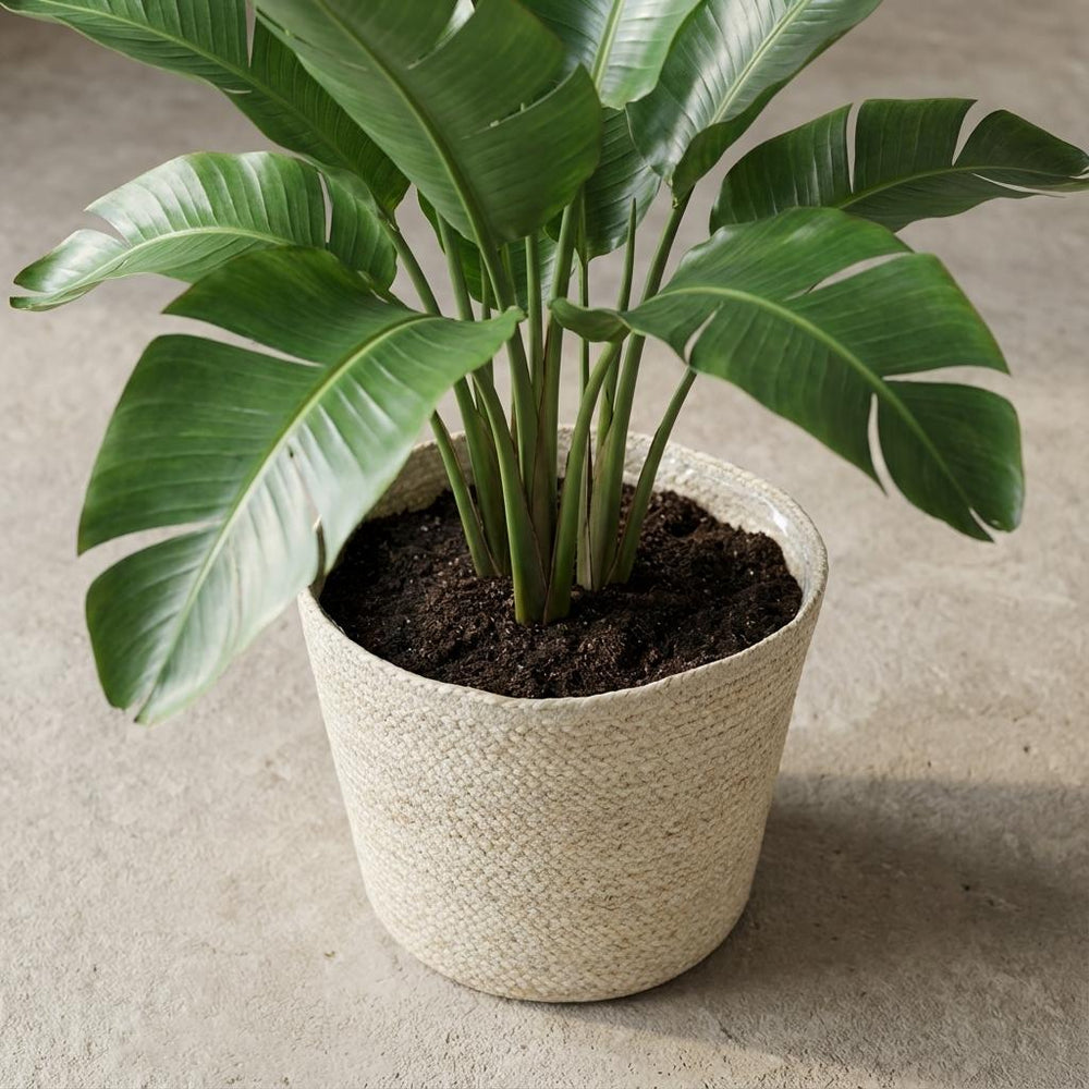 Korb Selin – Ø26cm