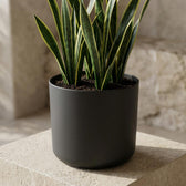 Elho B.for Soft Anthrazit – Ø18cm