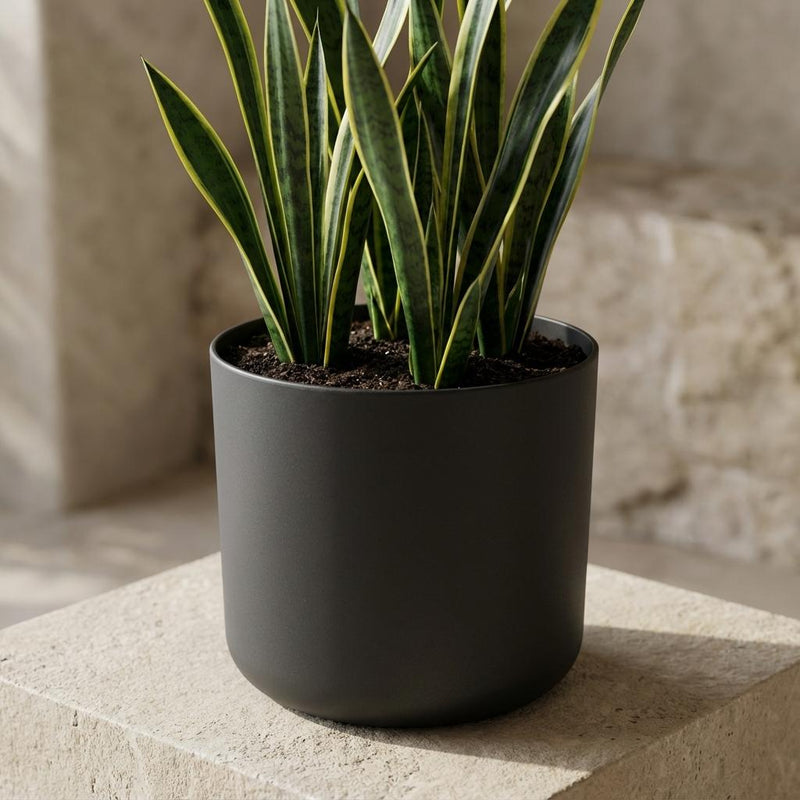 Elho B.for Soft Anthrazit – Ø18cm Detail