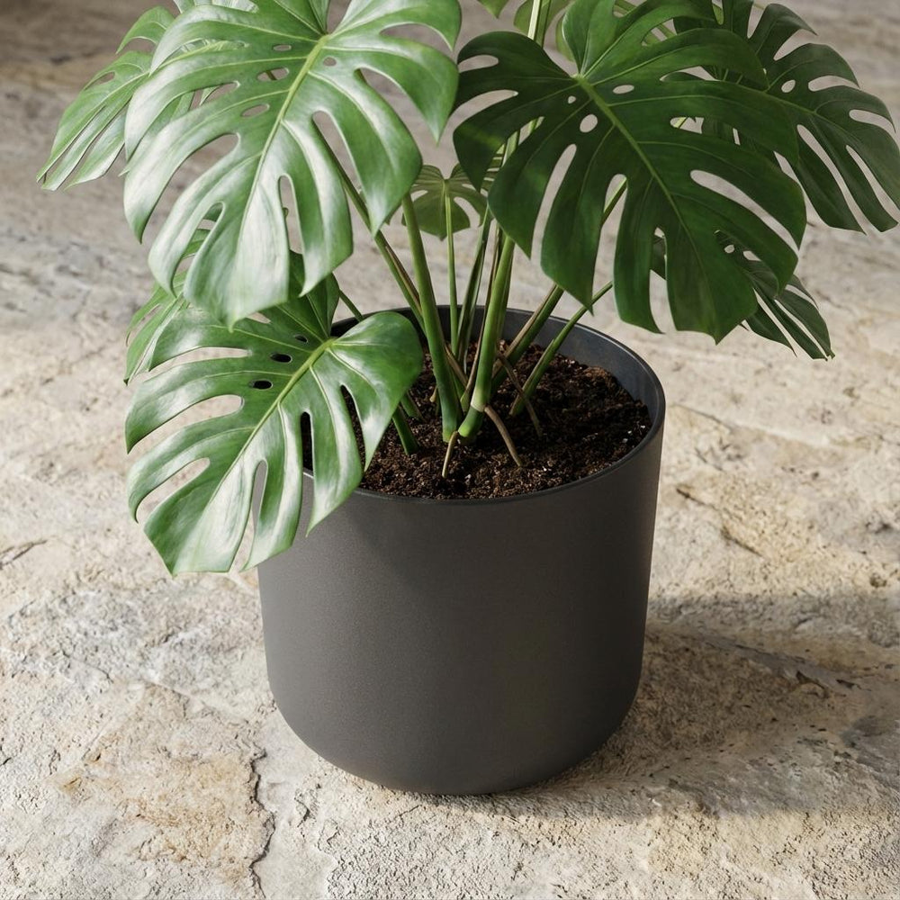 Elho B.for Soft Anthrazit – Ø25cm