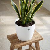 Elho Brussels Weiß – Ø22cm