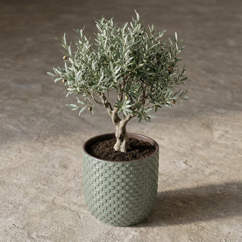 Topf Relief Grün – Ø13,5cm