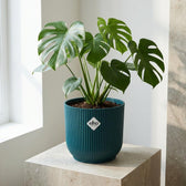 Elho Vibes Fold Tiefblau – Ø16cm