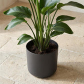 Elho B.for Soft Anthrazit – Ø22cm