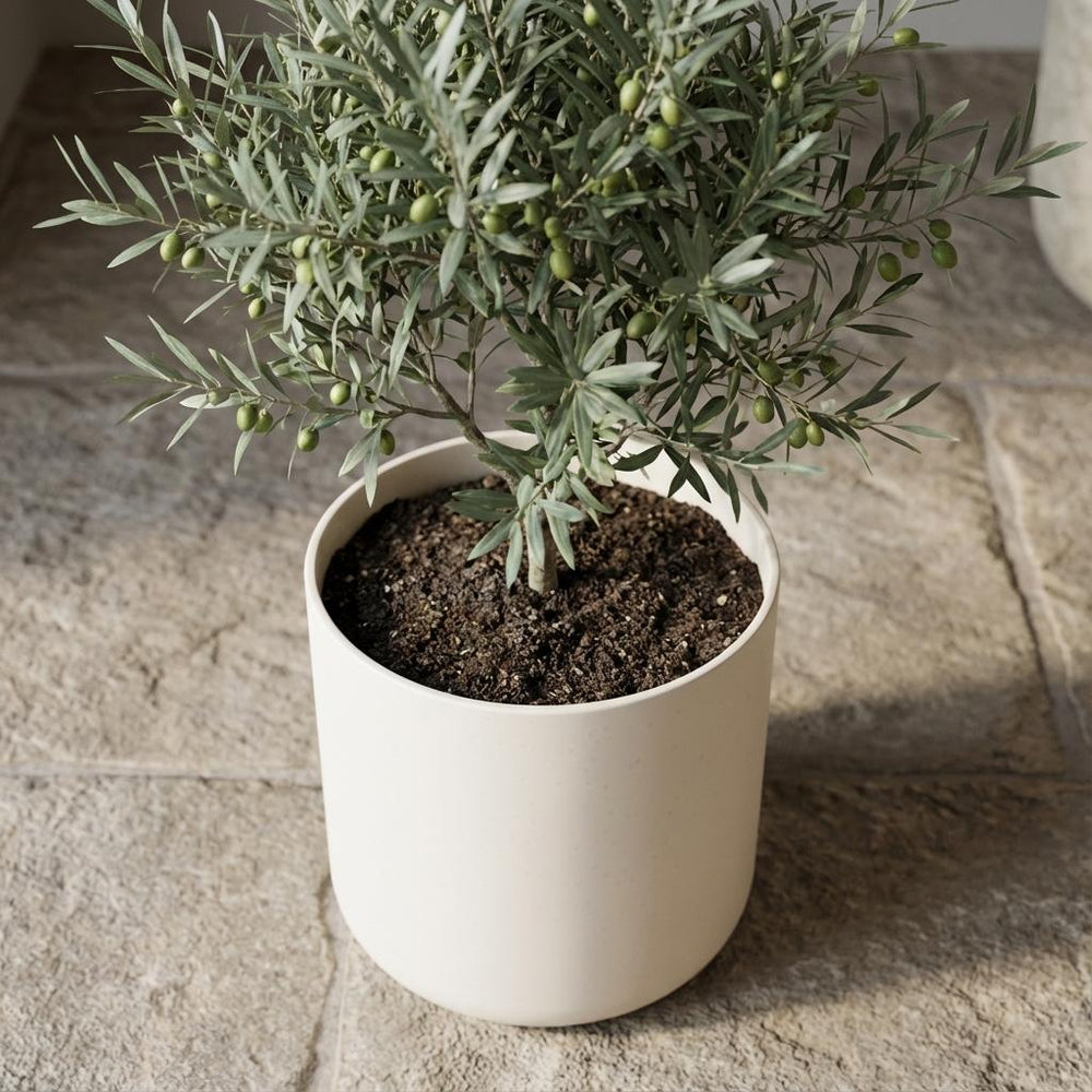 Elho B.for Soft Weiß – Ø22cm