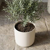 Elho B.for Soft Weiß – Ø22cm