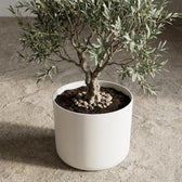 Elho B.for Soft Weiß – Ø25cm