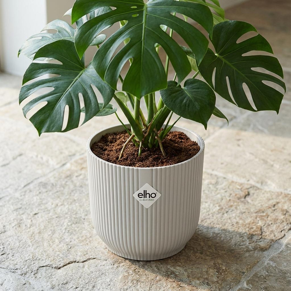 Elho Vibes Fold Weiß – Ø22cm