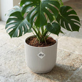 Elho Vibes Fold Weiß – Ø22cm